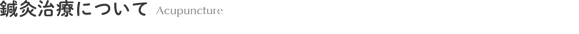 鍼灸治療について