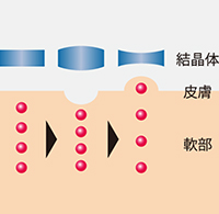 1秒間に数百万回のミクロマッサージ効果